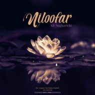 دانلود آهنگ علی ساغریچی نیلوفر