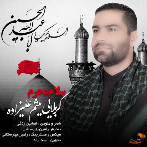 دانلود آهنگ میثم علیزاده سلام محرم دانلود آهنگ میثم علیزاده سلام محرم