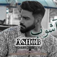 دانلود آهنگ محمدرضا سیلی آشوب