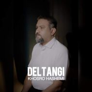 دانلود آهنگ خسرو هاشمی دلتنگی