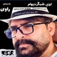 دانلود آهنگ راوی توی شبگردیهام