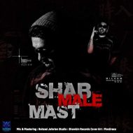 دانلود آهنگ میلادم شب مال ماست