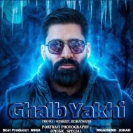 دانلود آهنگ محمد جوکار قلب یخی دانلود آهنگ محمد جوکار قلب یخی