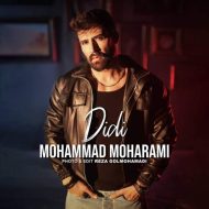 دانلود آهنگ محمد محرمی دیدی