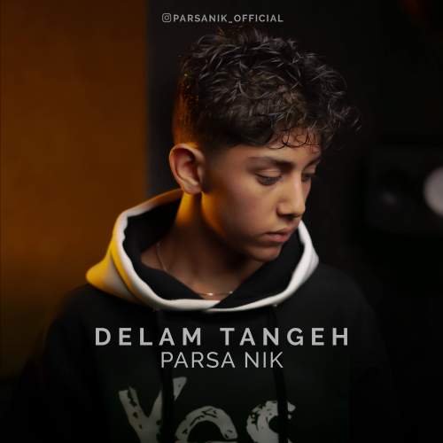 دانلود آهنگ پارسا نیک دلم تنگه