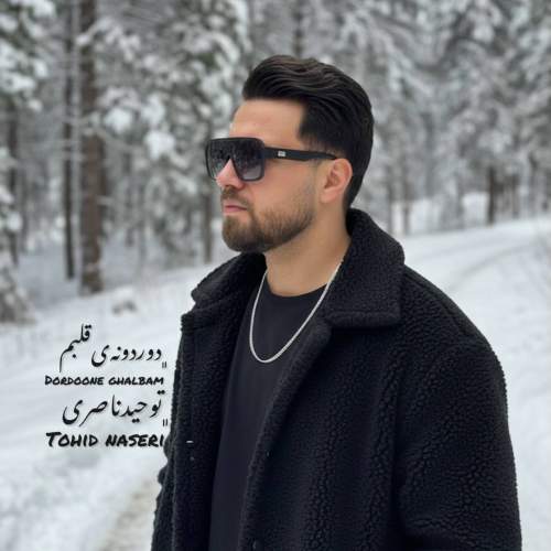 دانلود آهنگ توحید ناصری دوردونه ی قلبم