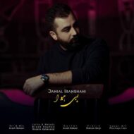 آهنگ دانیال ایرانشاهی بی هوا