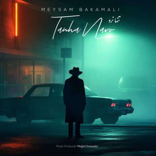 دانلود آهنگ میثم باکمالی تنها نرو دانلود آهنگ میثم باکمالی تنها نرو