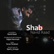 دانلود آهنگ نوید راد شب دانلود آهنگ نوید راد شب